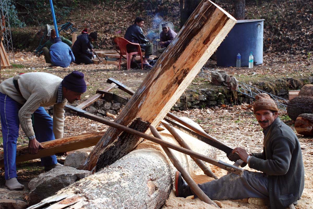 Forest Stewardship Council